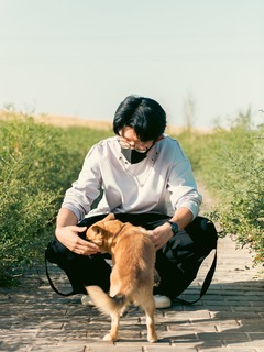 大智